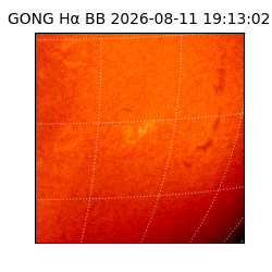 gong - 2026-08-11T19:13:02