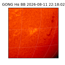 gong - 2026-08-11T22:18:02