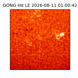gong - 2026-08-11T01:00:42