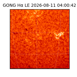 gong - 2026-08-11T04:00:42