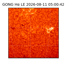 gong - 2026-08-11T05:00:42