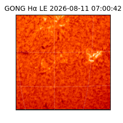 gong - 2026-08-11T07:00:42