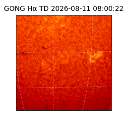 gong - 2026-08-11T08:00:22
