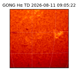 gong - 2026-08-11T09:05:22