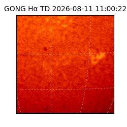 gong - 2026-08-11T11:00:22