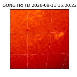 gong - 2026-08-11T15:00:22