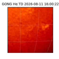 gong - 2026-08-11T16:00:22