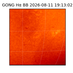 gong - 2026-08-11T19:13:02