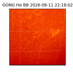 gong - 2026-08-11T22:18:02
