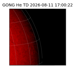 gong - 2026-08-11T17:00:22