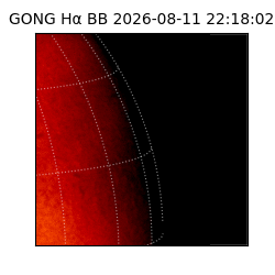 gong - 2026-08-11T22:18:02