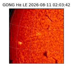 gong - 2026-08-11T02:03:42