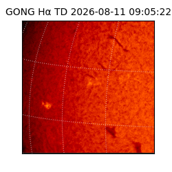 gong - 2026-08-11T09:05:22
