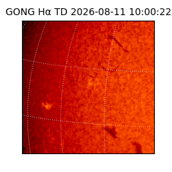 gong - 2026-08-11T10:00:22