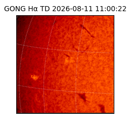 gong - 2026-08-11T11:00:22