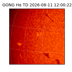 gong - 2026-08-11T12:00:22