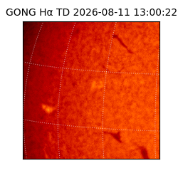 gong - 2026-08-11T13:00:22