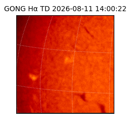 gong - 2026-08-11T14:00:22