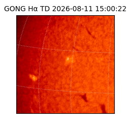 gong - 2026-08-11T15:00:22