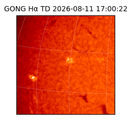 gong - 2026-08-11T17:00:22