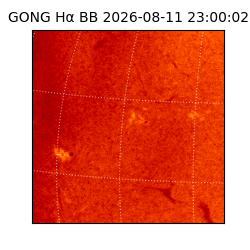 gong - 2026-08-11T23:00:02