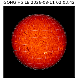 gong - 2026-08-11T02:03:42