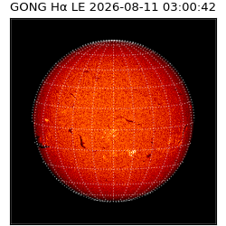 gong - 2026-08-11T03:00:42