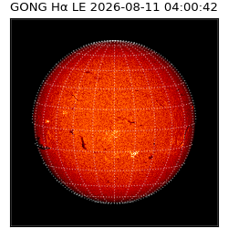 gong - 2026-08-11T04:00:42