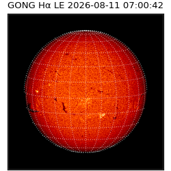 gong - 2026-08-11T07:00:42