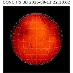 gong - 2026-08-11T22:18:02