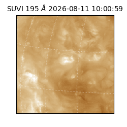suvi - 2026-08-11T10:00:59.020000