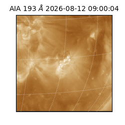 saia - 2026-08-12T09:00:04.843000