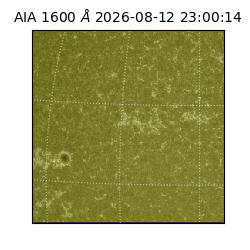 saia - 2026-08-12T23:00:14.123000