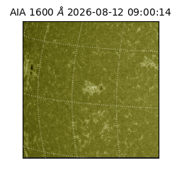saia - 2026-08-12T09:00:14.129000