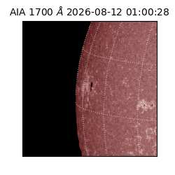 saia - 2026-08-12T01:00:28.720000