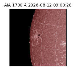saia - 2026-08-12T09:00:28.717000