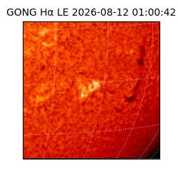 gong - 2026-08-12T01:00:42