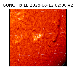 gong - 2026-08-12T02:00:42