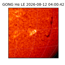 gong - 2026-08-12T04:00:42