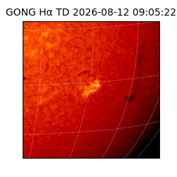 gong - 2026-08-12T09:05:22