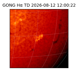 gong - 2026-08-12T12:00:22