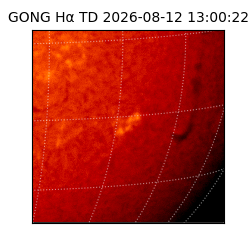 gong - 2026-08-12T13:00:22