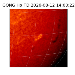 gong - 2026-08-12T14:00:22