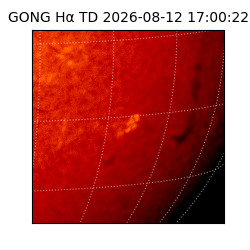 gong - 2026-08-12T17:00:22