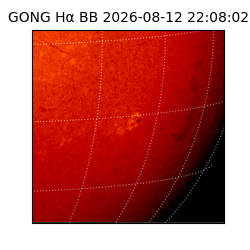 gong - 2026-08-12T22:08:02