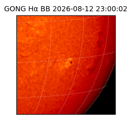gong - 2026-08-12T23:00:02