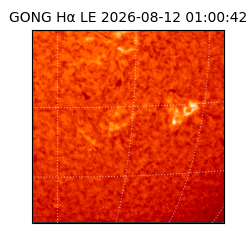 gong - 2026-08-12T01:00:42