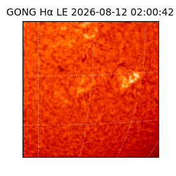 gong - 2026-08-12T02:00:42