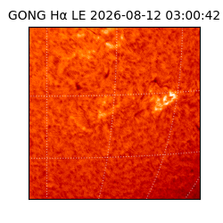 gong - 2026-08-12T03:00:42