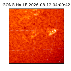 gong - 2026-08-12T04:00:42